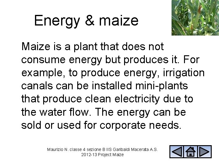 Energy & maize Maize is a plant that does not consume energy but produces