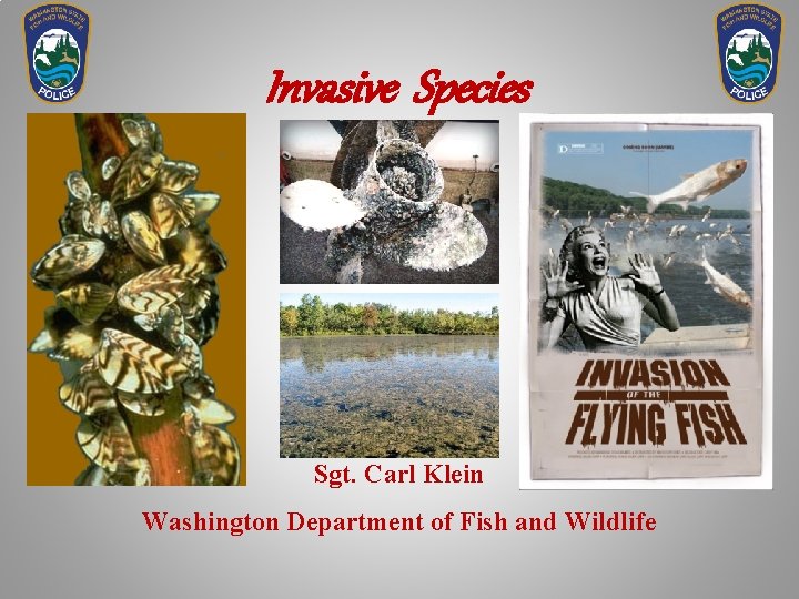 Invasive Species Sgt. Carl Klein Washington Department of Fish and Wildlife 