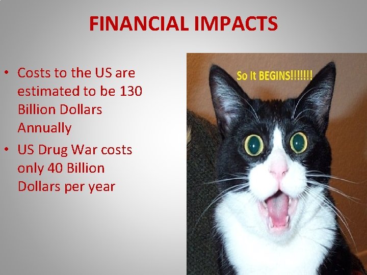 FINANCIAL IMPACTS • Costs to the US are estimated to be 130 Billion Dollars