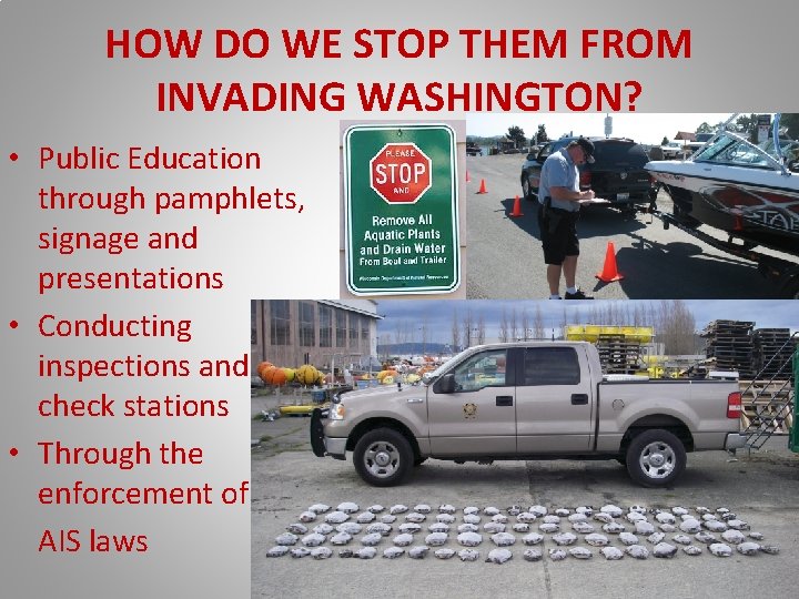 HOW DO WE STOP THEM FROM INVADING WASHINGTON? • Public Education through pamphlets, signage