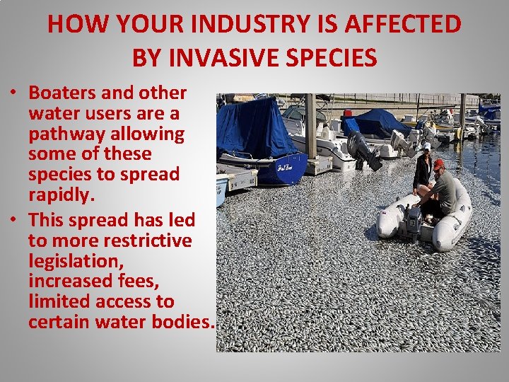 HOW YOUR INDUSTRY IS AFFECTED BY INVASIVE SPECIES • Boaters and other water users