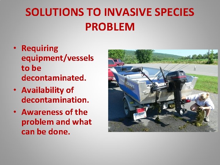 SOLUTIONS TO INVASIVE SPECIES PROBLEM • Requiring equipment/vessels to be decontaminated. • Availability of