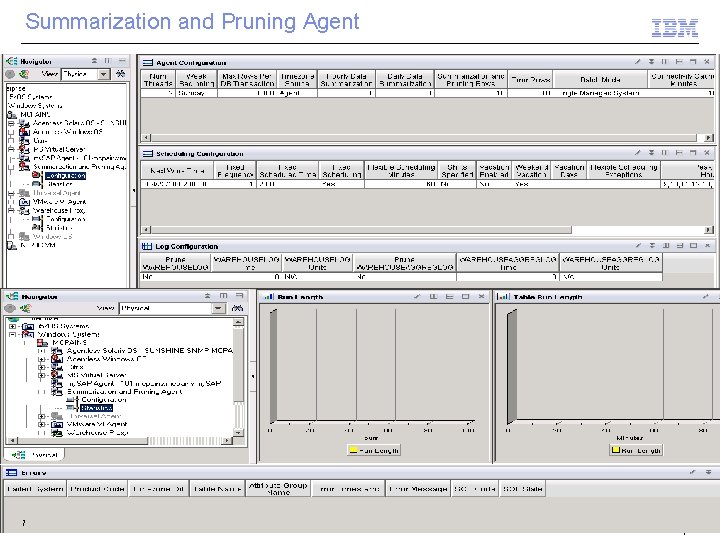 Summarization and Pruning Agent 7 © 2010 IBM Corporation 