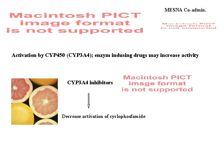 MESNA Co-admin. Activation by CYP 450 (CYP 3 A 4); enzym indusing drugs may