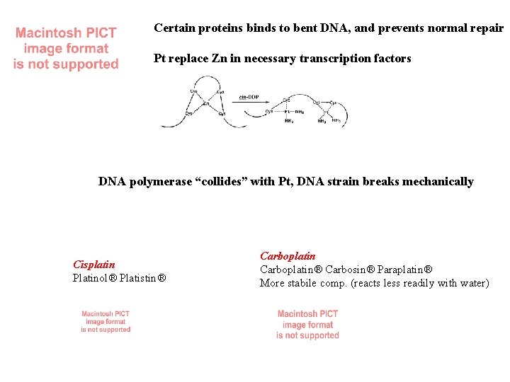 Certain proteins binds to bent DNA, and prevents normal repair Pt replace Zn in