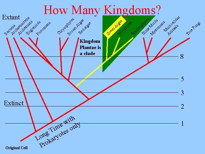 Original Cell Kingdom Plantae is a clade Extinct h t i w ly e