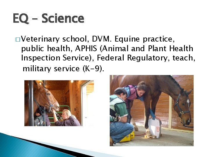 EQ – Science � Veterinary school, DVM. Equine practice, public health, APHIS (Animal and