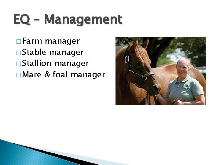 EQ – Management � Farm manager � Stable manager � Stallion manager � Mare