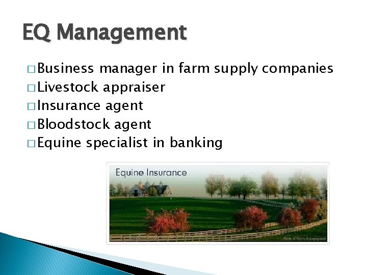 EQ Management � Business manager in farm supply companies � Livestock appraiser � Insurance