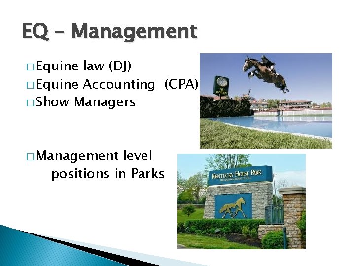 EQ – Management � Equine law (DJ) � Equine Accounting (CPA) � Show Managers