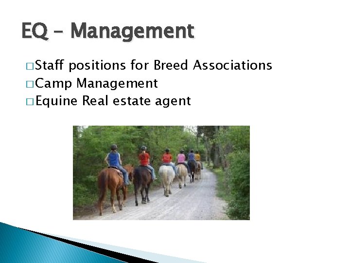 EQ – Management � Staff positions for Breed Associations � Camp Management � Equine