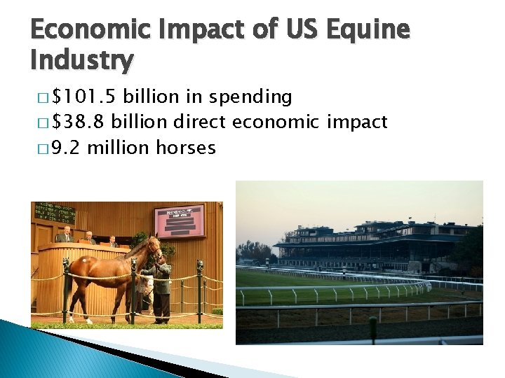 Economic Impact of US Equine Industry � $101. 5 billion in spending � $38.