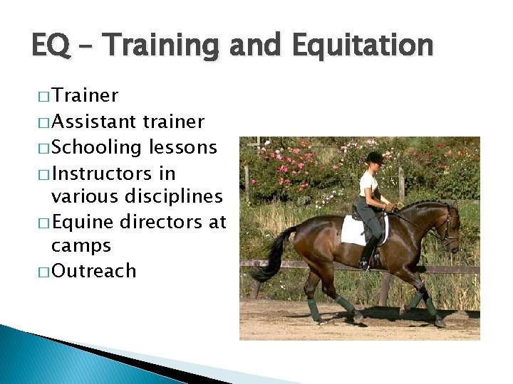 EQ – Training and Equitation � Trainer � Assistant trainer � Schooling lessons �