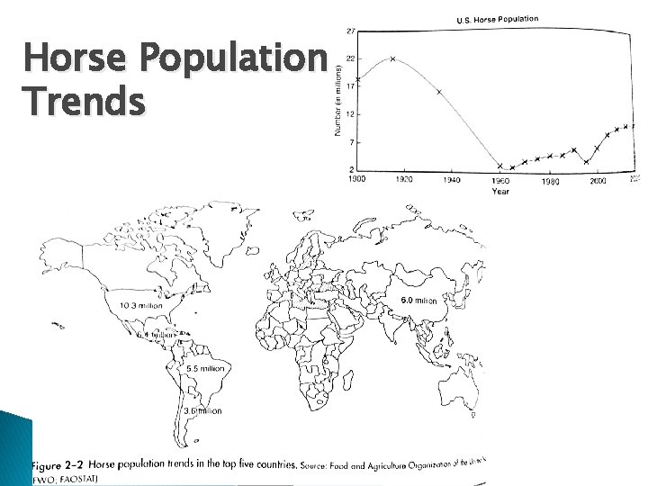 Horse Population Trends 