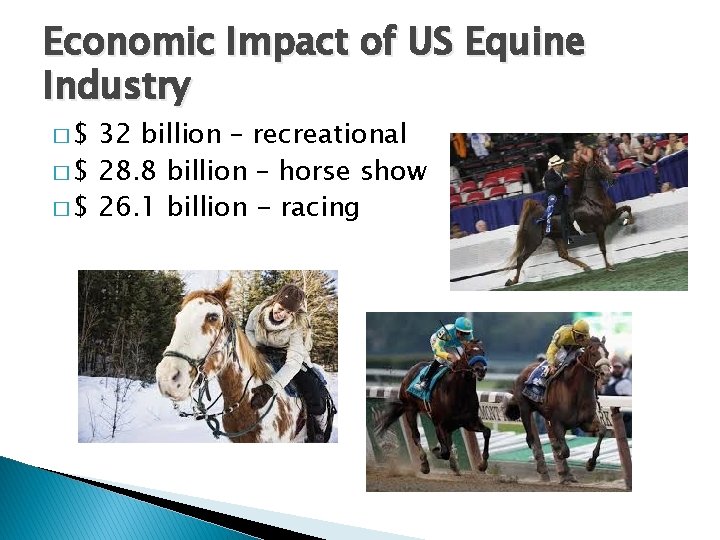 Economic Impact of US Equine Industry �$ 32 billion – recreational � $ 28.