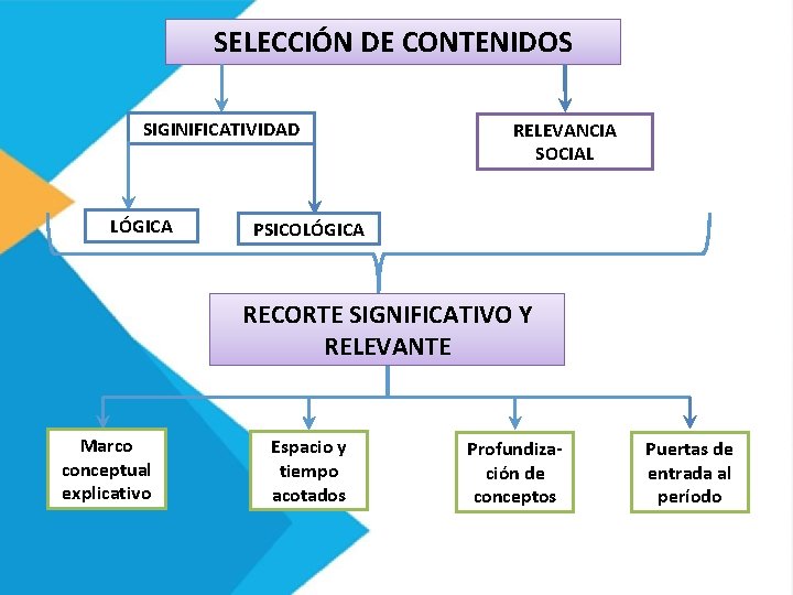 SELECCIÓN DE CONTENIDOS SIGINIFICATIVIDAD LÓGICA RELEVANCIA SOCIAL PSICOLÓGICA RECORTE SIGNIFICATIVO Y RELEVANTE Marco conceptual