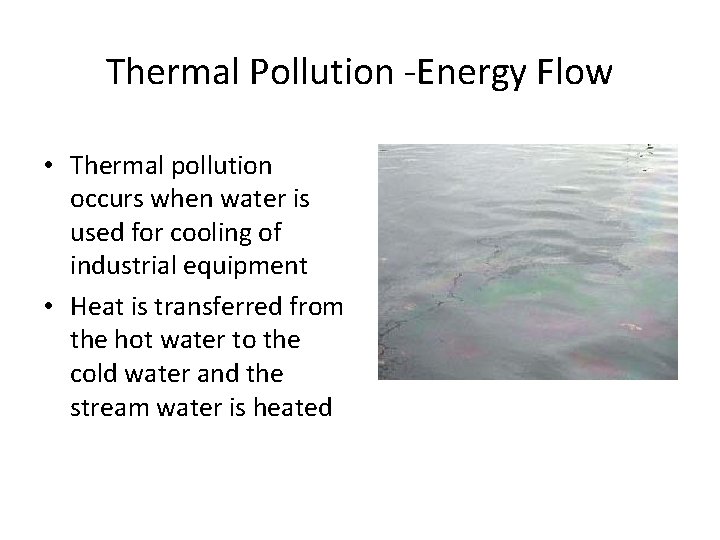 Thermal Pollution -Energy Flow • Thermal pollution occurs when water is used for cooling Thermal Pollution -Energy Flow • Thermal pollution occurs when water is used for cooling