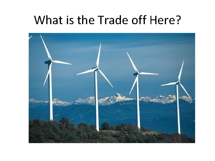 What is the Trade off Here? What is the Trade off Here?