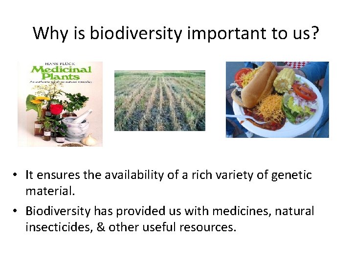 Why is biodiversity important to us? • It ensures the availability of a rich Why is biodiversity important to us? • It ensures the availability of a rich