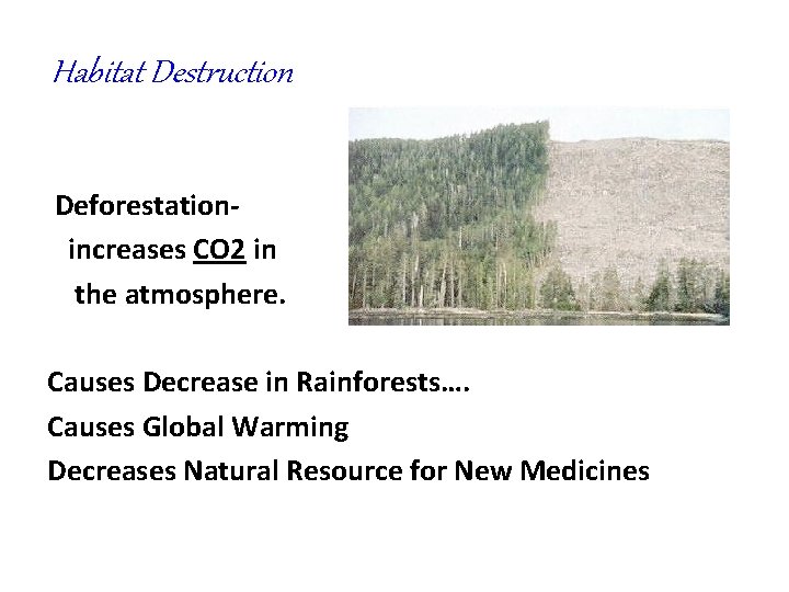 Habitat Destruction Deforestationincreases CO 2 in the atmosphere. Causes Decrease in Rainforests…. Causes Global Habitat Destruction Deforestationincreases CO 2 in the atmosphere. Causes Decrease in Rainforests…. Causes Global