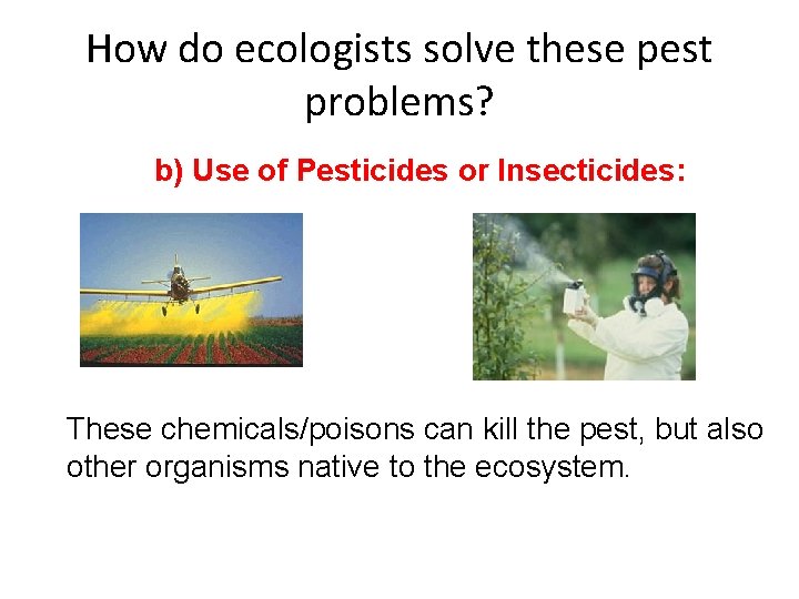 How do ecologists solve these pest problems? b) Use of Pesticides or Insecticides: These How do ecologists solve these pest problems? b) Use of Pesticides or Insecticides: These