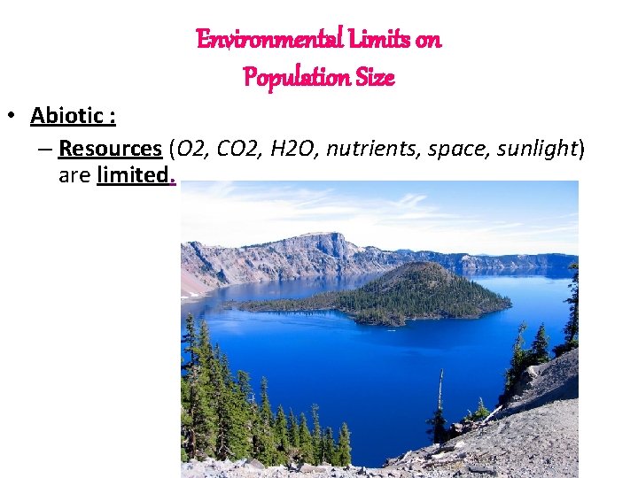 Environmental Limits on Population Size • Abiotic : – Resources (O 2, CO 2, Environmental Limits on Population Size • Abiotic : – Resources (O 2, CO 2,