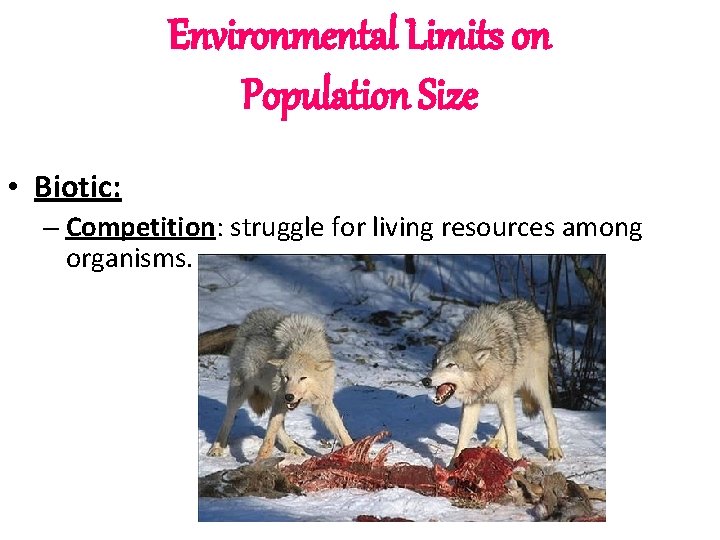 Environmental Limits on Population Size • Biotic: – Competition: struggle for living resources among Environmental Limits on Population Size • Biotic: – Competition: struggle for living resources among