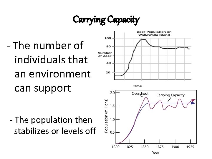 Carrying Capacity - The number of individuals that an environment can support - The Carrying Capacity - The number of individuals that an environment can support - The