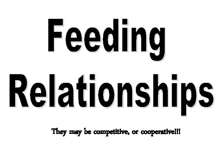 They may be competitive, or cooperative!!! They may be competitive, or cooperative!!!