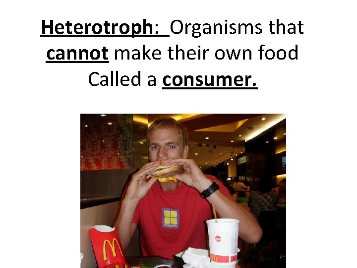 Heterotroph: Organisms that cannot make their own food Called a consumer. Heterotroph: Organisms that cannot make their own food Called a consumer.
