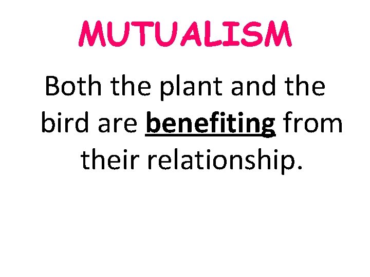 MUTUALISM Both the plant and the bird are benefiting from their relationship. MUTUALISM Both the plant and the bird are benefiting from their relationship.