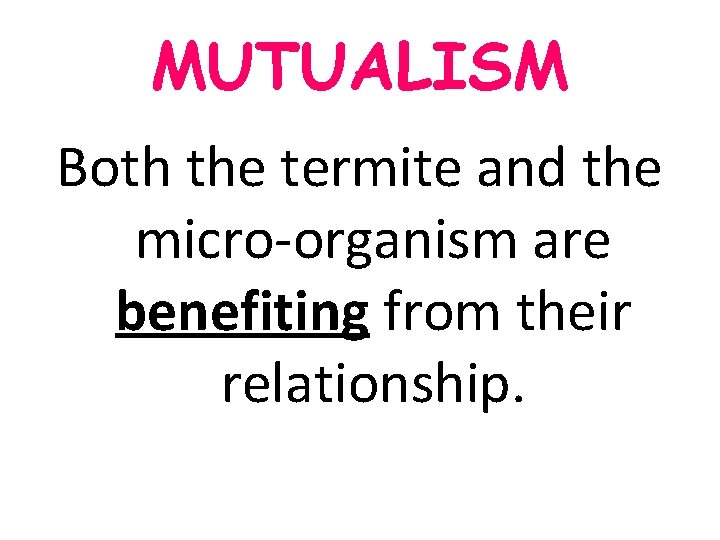 MUTUALISM Both the termite and the micro-organism are benefiting from their relationship. MUTUALISM Both the termite and the micro-organism are benefiting from their relationship.