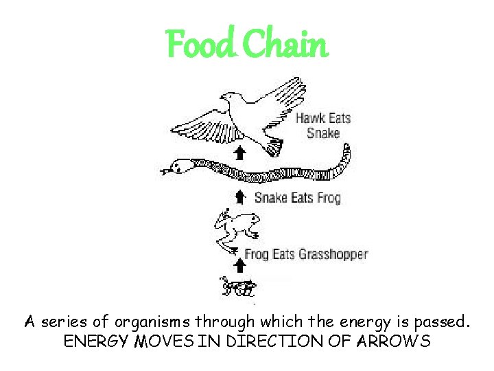 Food Chain A series of organisms through which the energy is passed. ENERGY MOVES Food Chain A series of organisms through which the energy is passed. ENERGY MOVES