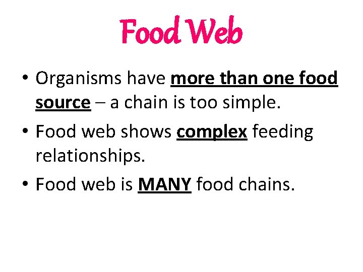 Food Web • Organisms have more than one food source – a chain is Food Web • Organisms have more than one food source – a chain is