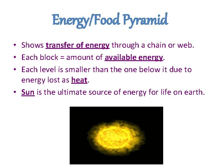 Energy/Food Pyramid • Shows transfer of energy through a chain or web. • Each Energy/Food Pyramid • Shows transfer of energy through a chain or web. • Each