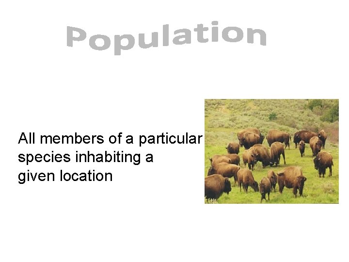 All members of a particular species inhabiting a given location All members of a particular species inhabiting a given location