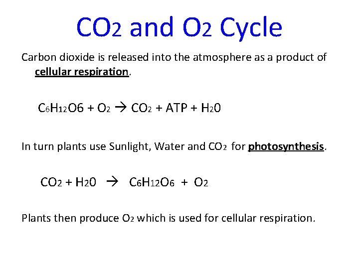 CO 2 and O 2 Cycle Carbon dioxide is released into the atmosphere as CO 2 and O 2 Cycle Carbon dioxide is released into the atmosphere as