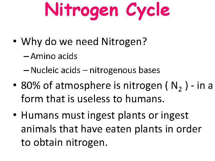Nitrogen Cycle • Why do we need Nitrogen? – Amino acids – Nucleic acids Nitrogen Cycle • Why do we need Nitrogen? – Amino acids – Nucleic acids