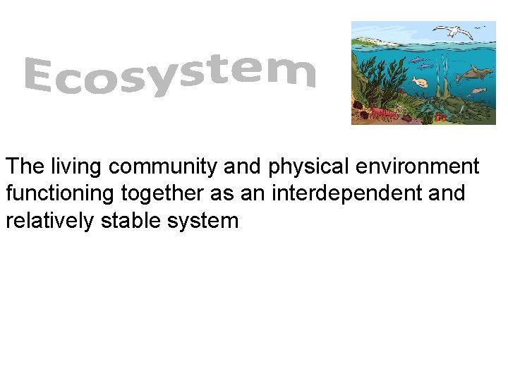 The living community and physical environment functioning together as an interdependent and relatively stable The living community and physical environment functioning together as an interdependent and relatively stable