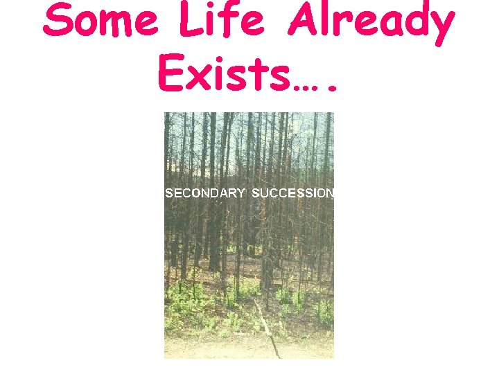 Some Life Already Exists…. Some Life Already Exists….