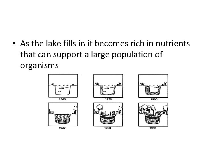 • As the lake fills in it becomes rich in nutrients that can • As the lake fills in it becomes rich in nutrients that can