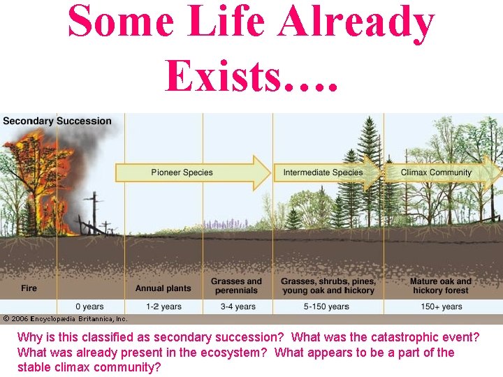 Some Life Already Exists…. Why is this classified as secondary succession? What was the Some Life Already Exists…. Why is this classified as secondary succession? What was the