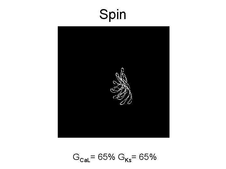 Spin GCa. L= 65% GKs= 65% 