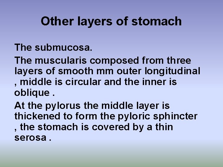 Other layers of stomach The submucosa. The muscularis composed from three layers of smooth Other layers of stomach The submucosa. The muscularis composed from three layers of smooth