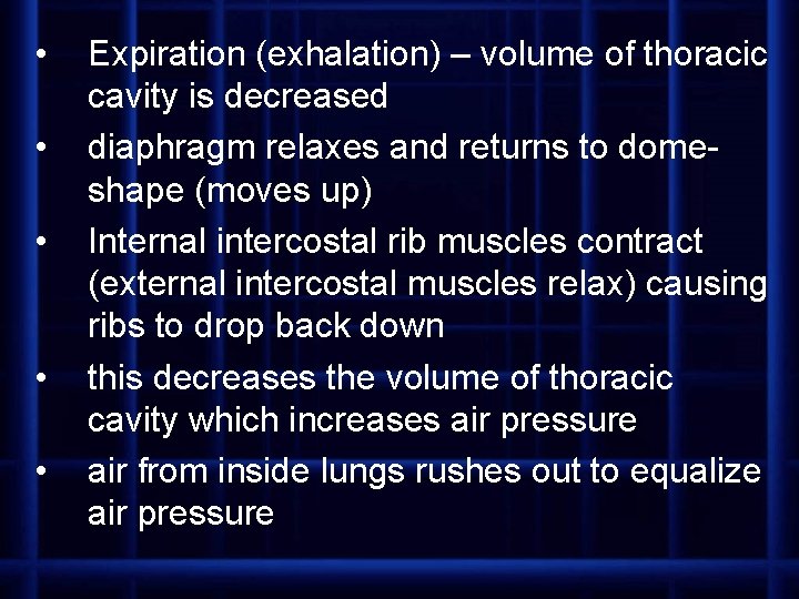  • • • Expiration (exhalation) – volume of thoracic cavity is decreased diaphragm