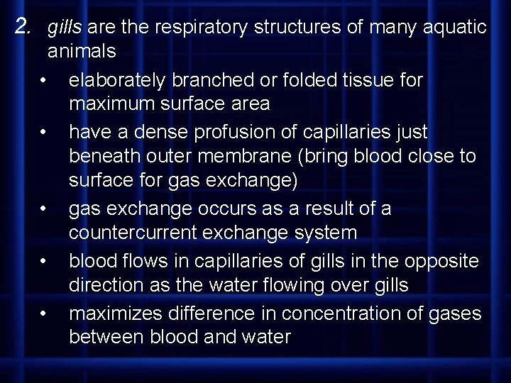 2. gills are the respiratory structures of many aquatic animals • elaborately branched or