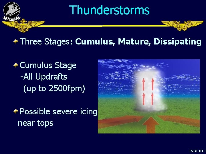 Thunderstorms Three Stages: Cumulus, Mature, Dissipating Cumulus Stage -All Updrafts (up to 2500 fpm)