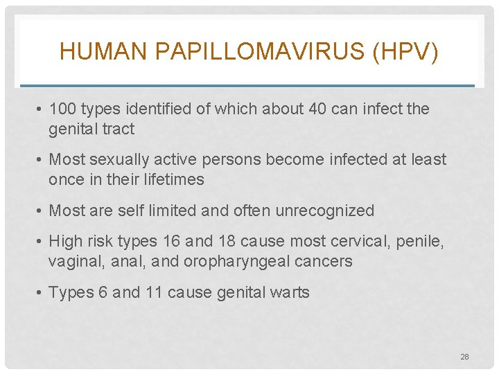 HUMAN PAPILLOMAVIRUS (HPV) • 100 types identified of which about 40 can infect the
