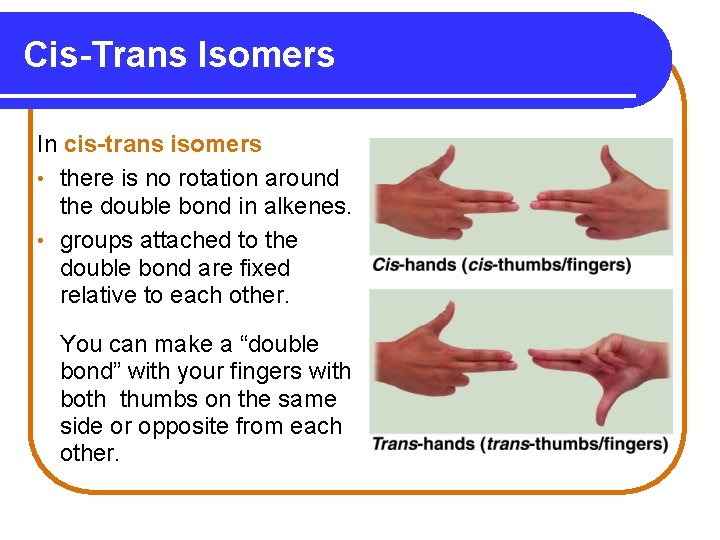 Cis-Trans Isomers In cis-trans isomers • there is no rotation around the double bond