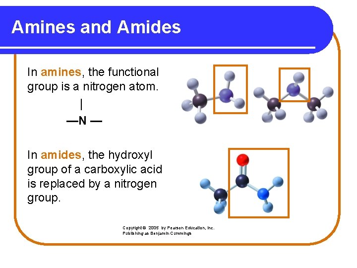 Amines and Amides In amines, the functional group is a nitrogen atom. | —N